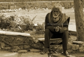 IIP Online Student Photography